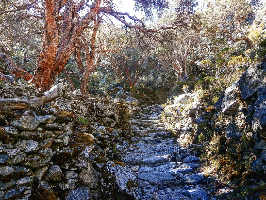 Paisaje de Región Magdalena Medio