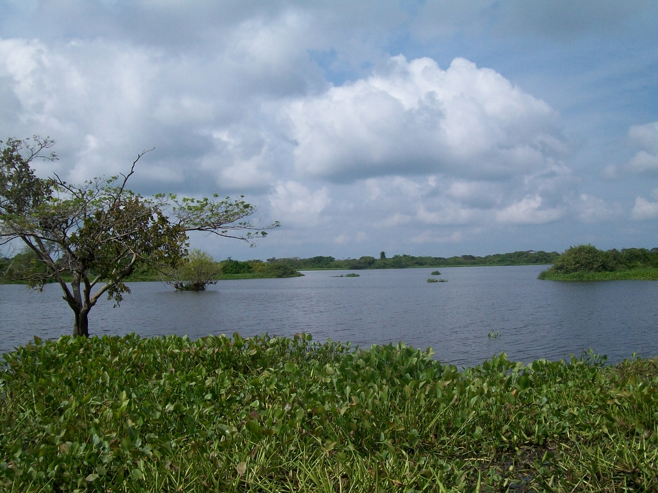 Paisaje de Región Noroccidental