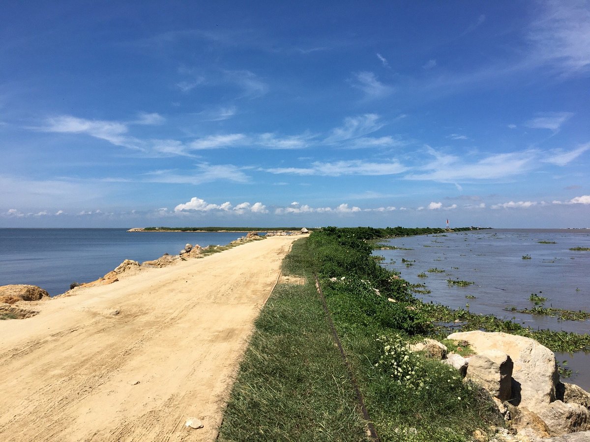 Paisaje de Región Sur