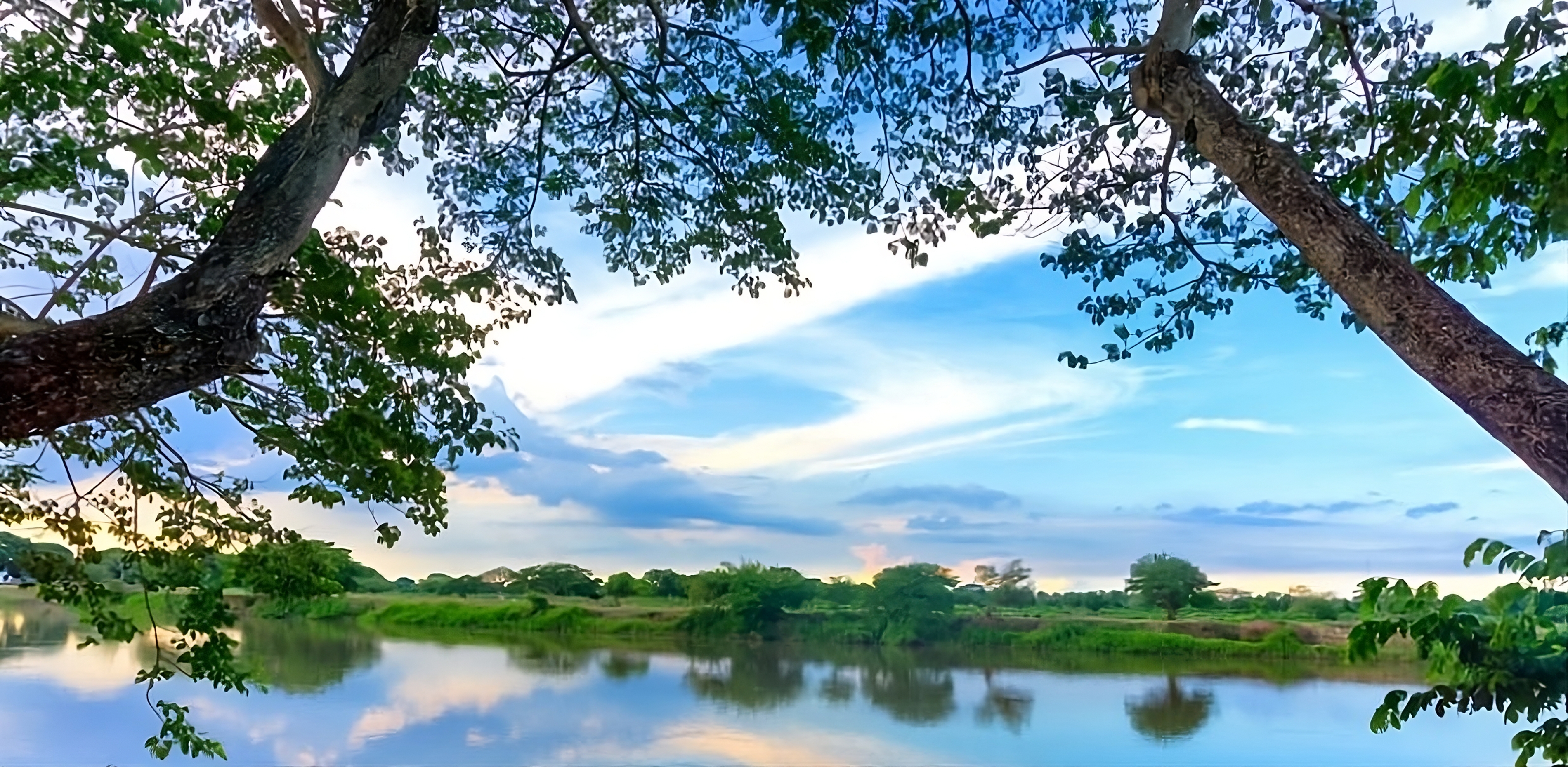 Paisaje de Región Sur