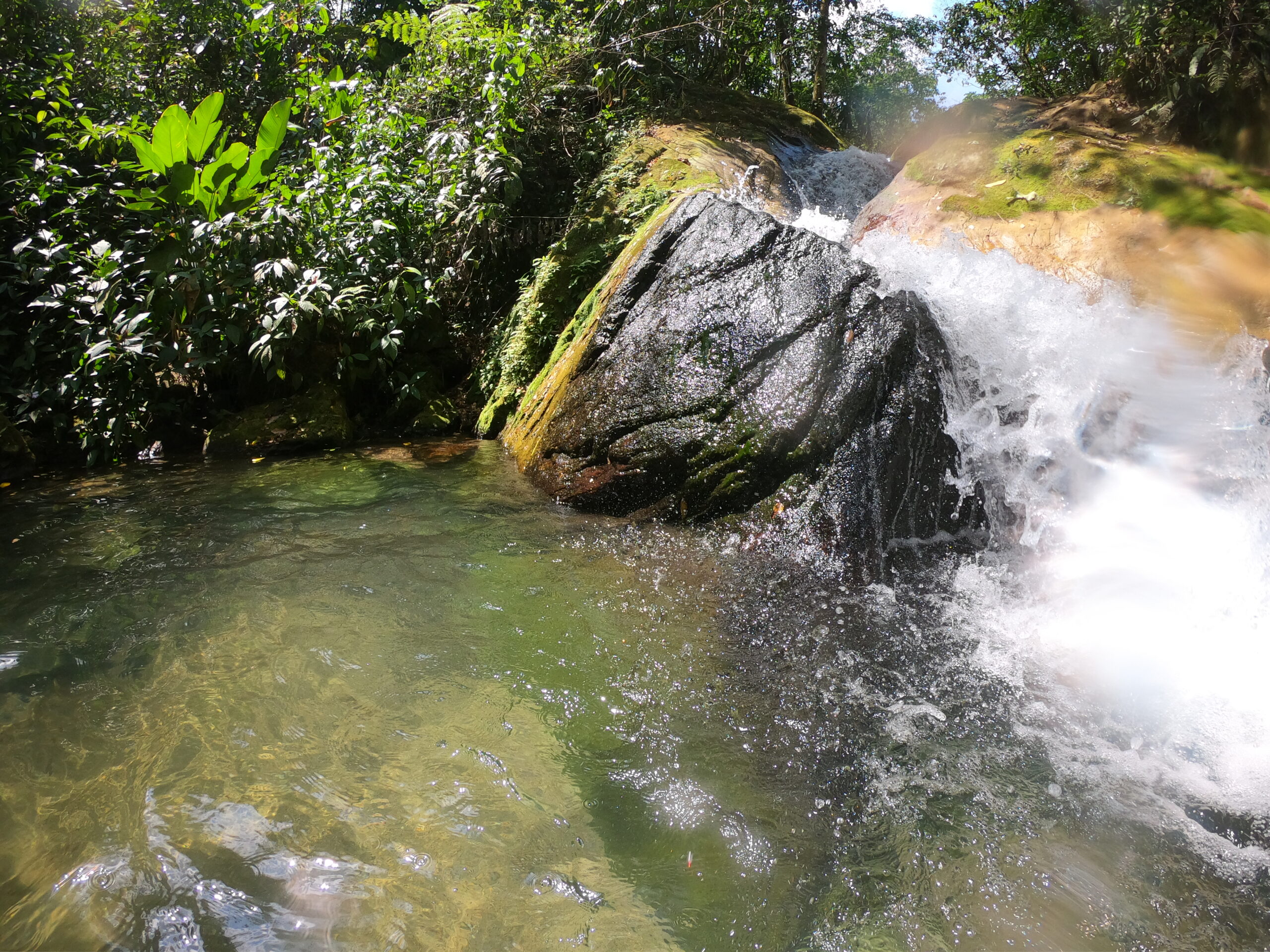 Paisaje de Región Sur