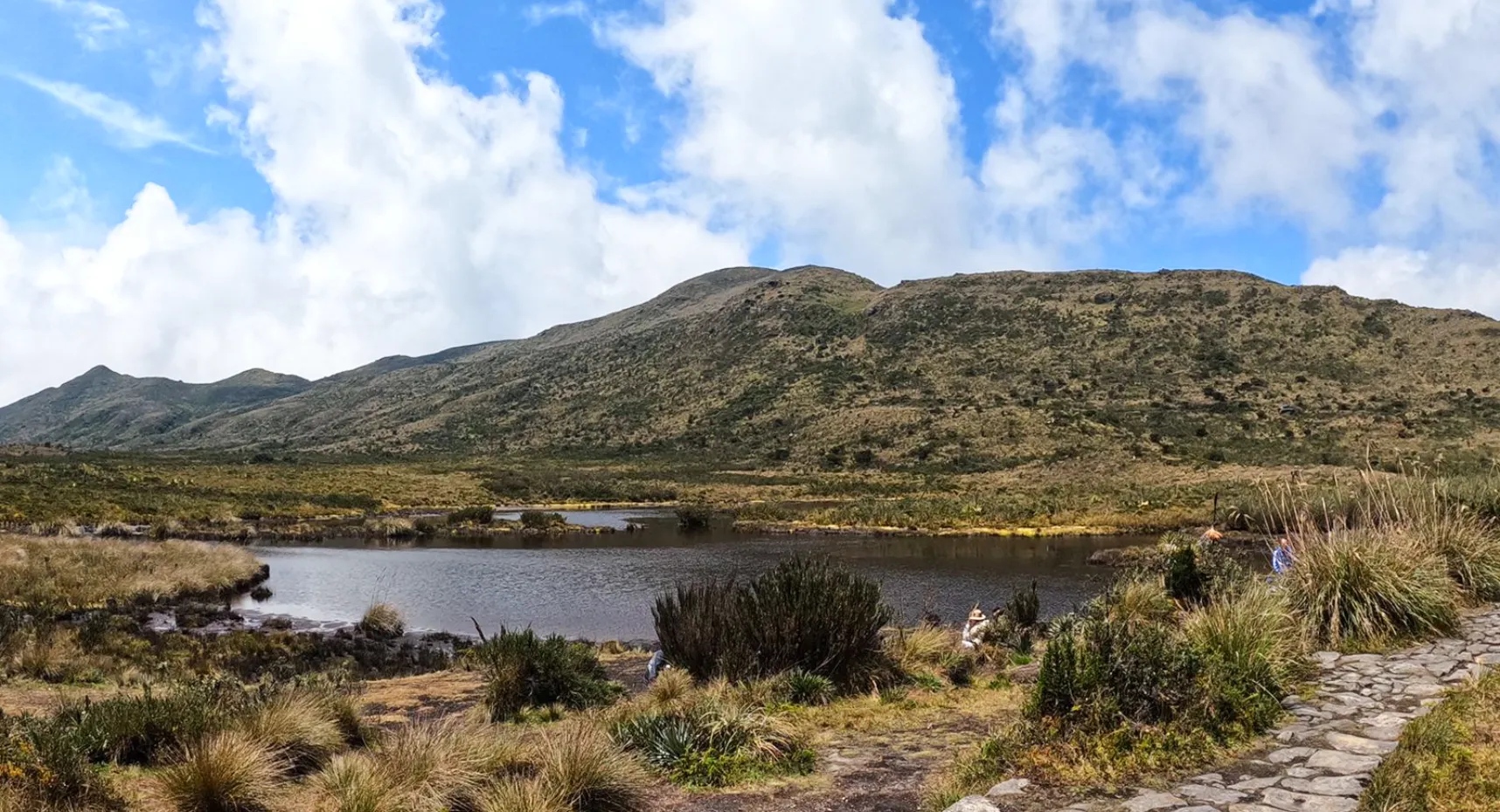 Paisaje de Región Oriente