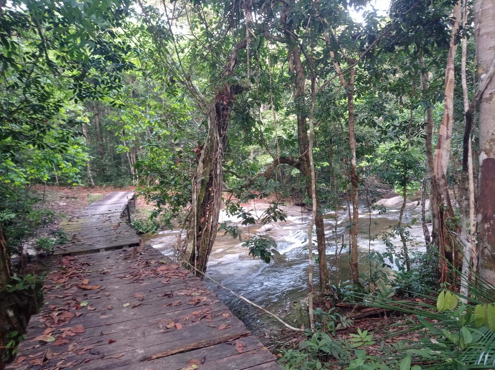 Paisaje de Región Vaupés