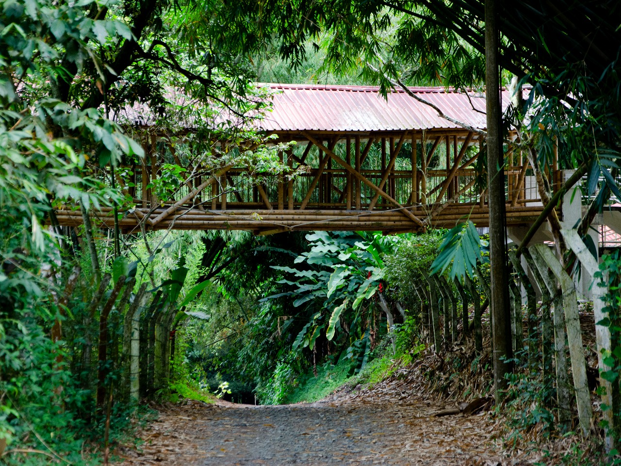 Paisaje de Región Cordillerana