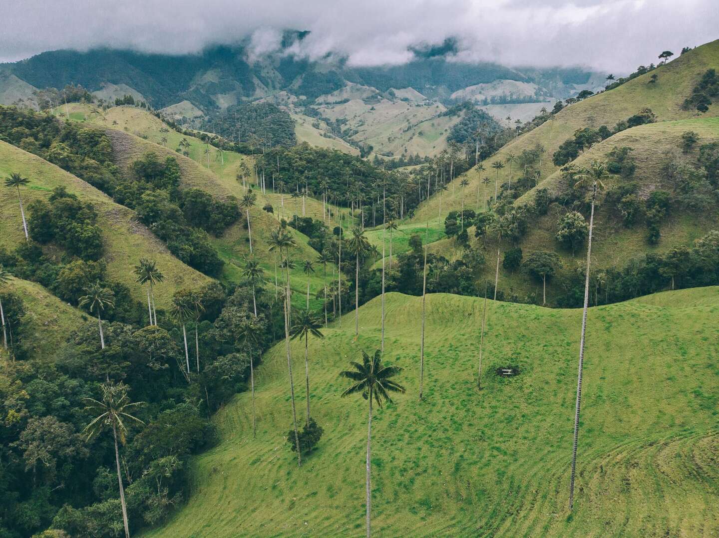 Paisaje de Región Norte