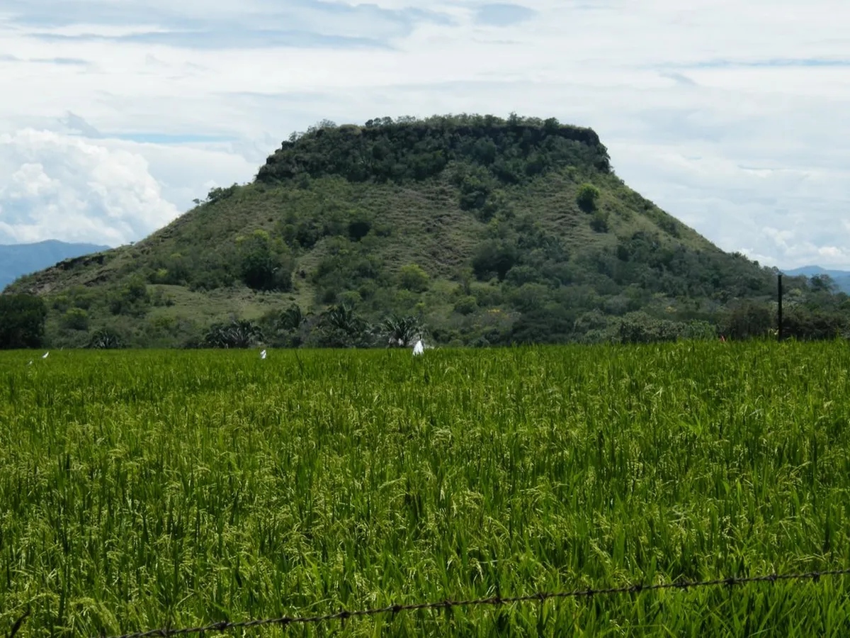 Paisaje de Región Centro
