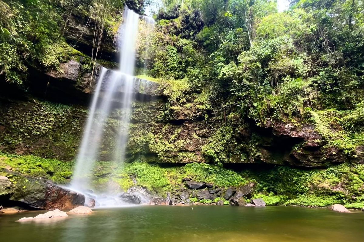 Paisaje de Región Medio Putumayo
