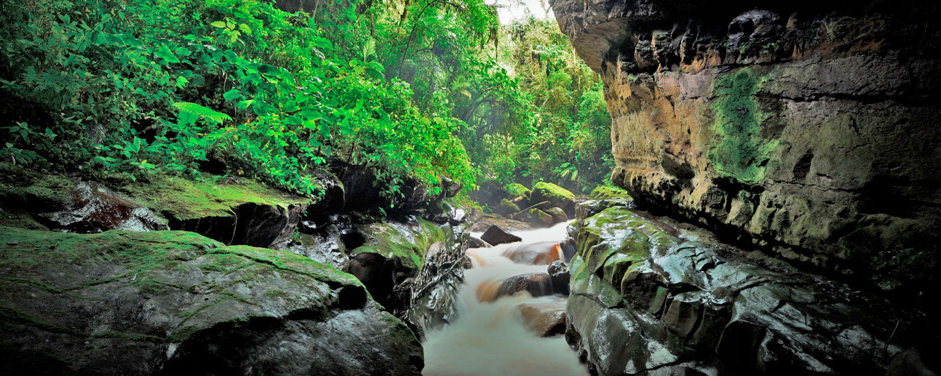Paisaje de Región Norte