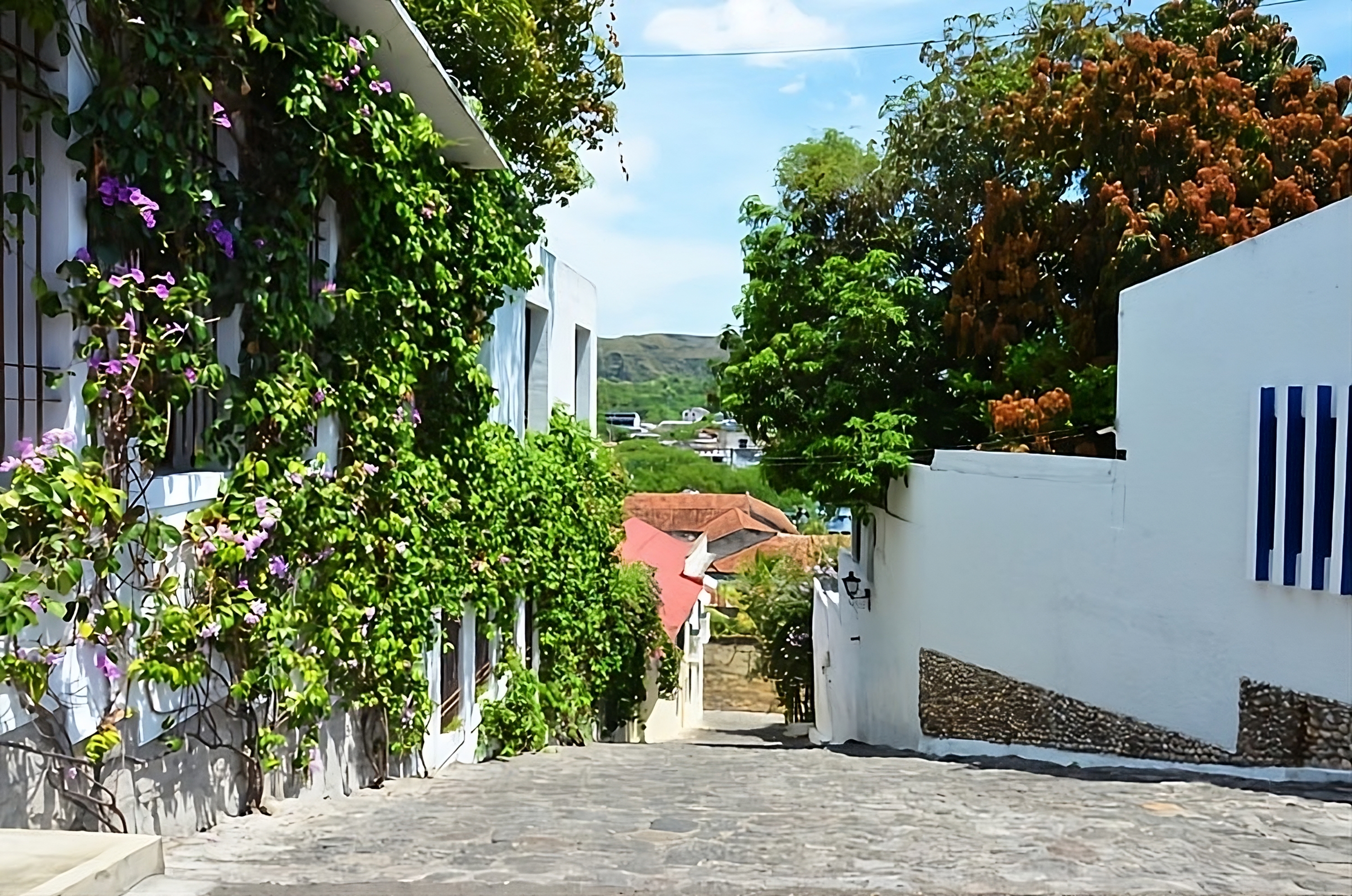 Paisaje de Región Norte