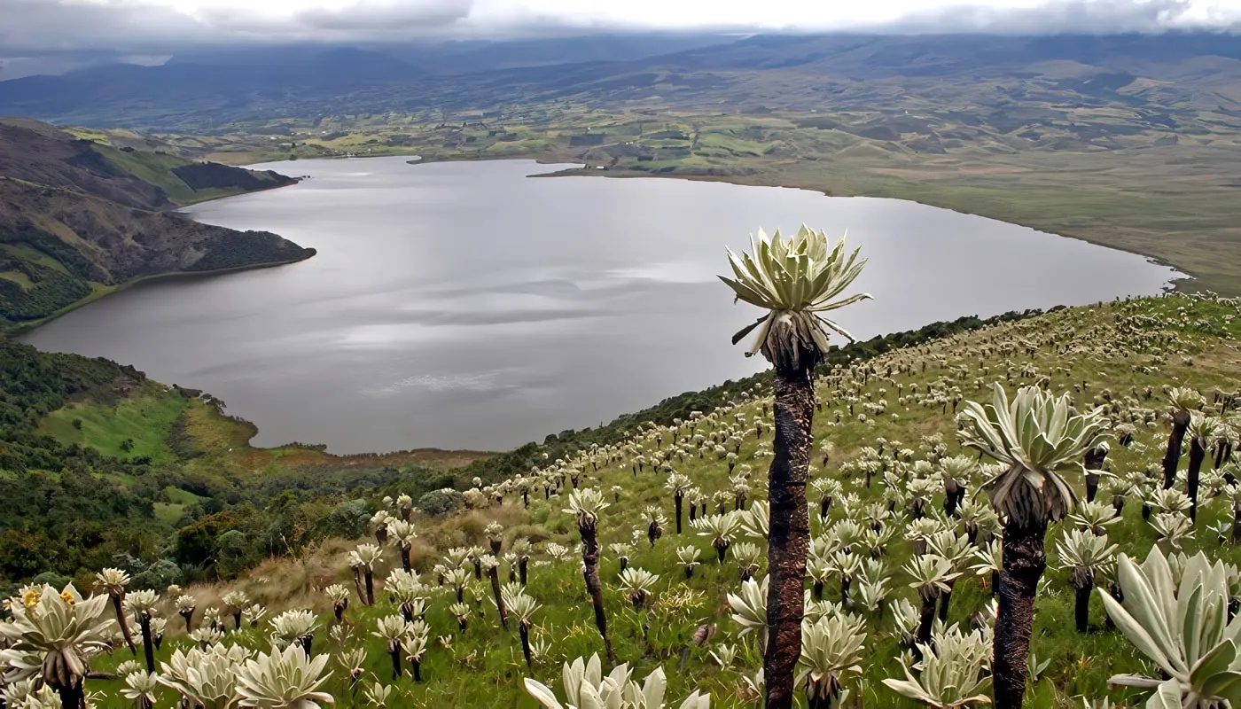Paisaje de Nariño