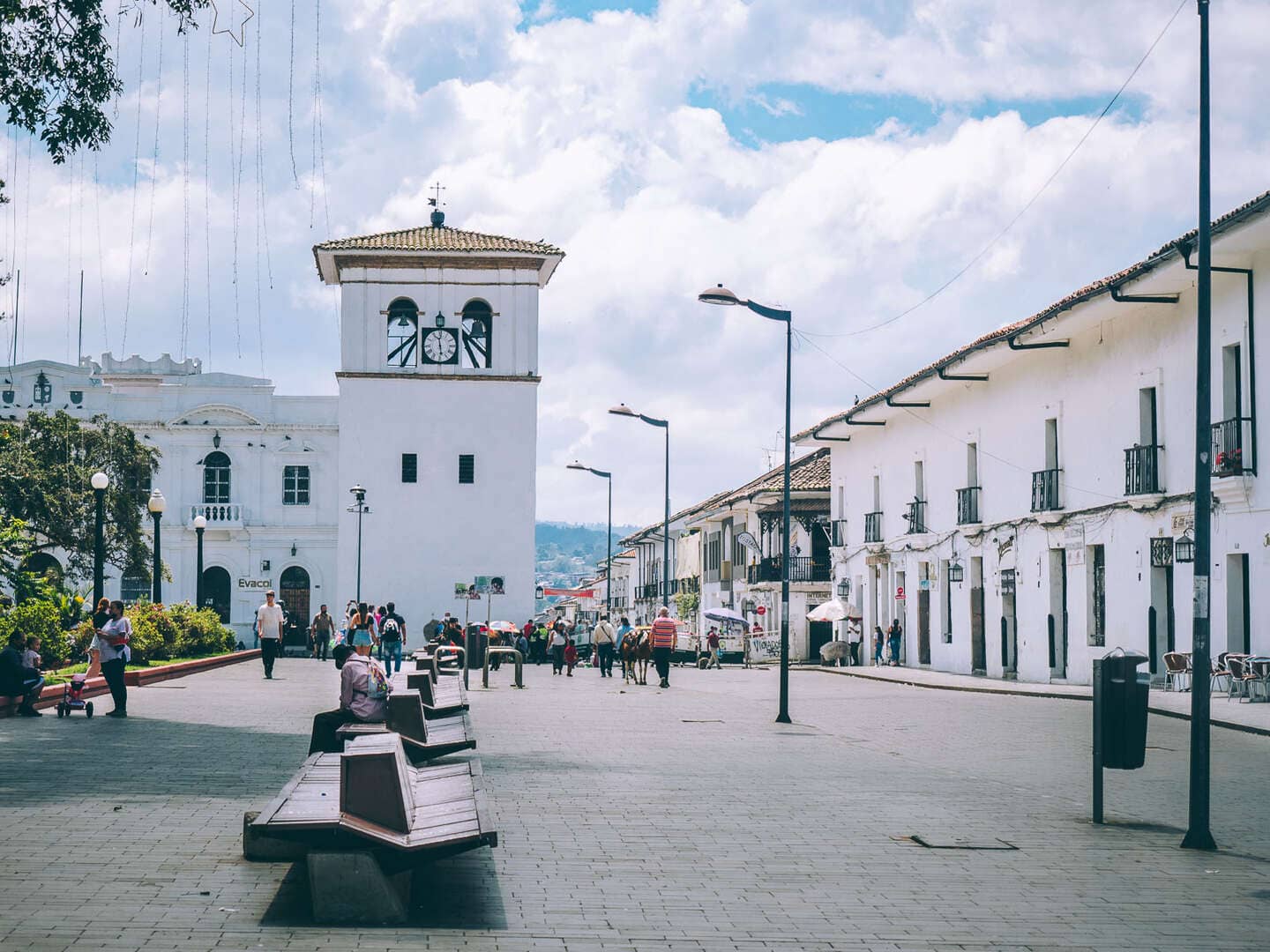 Paisaje de Región Centro