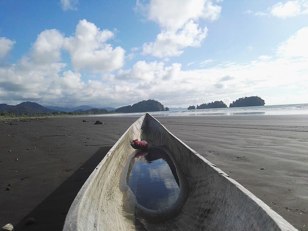 Pacífico: Ballenas y Selva