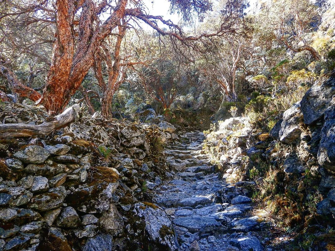 Magdalena Medio y Serranía